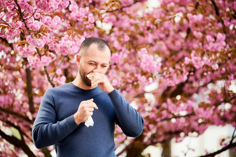 5 Tips for Dealing With Seasonal Allergies