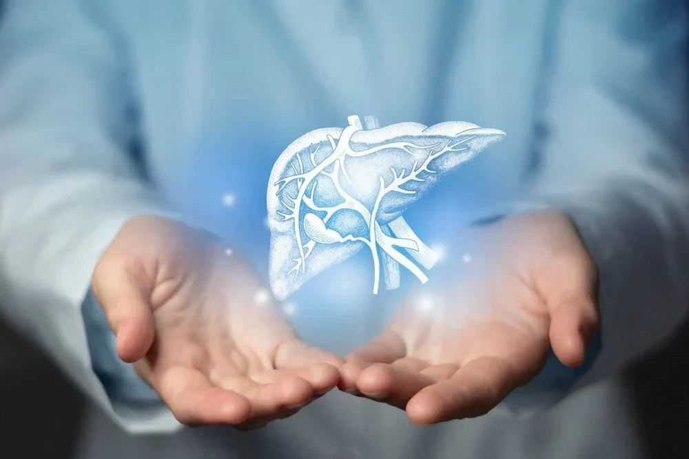 The Top Supplements for Liver Health That We Offer